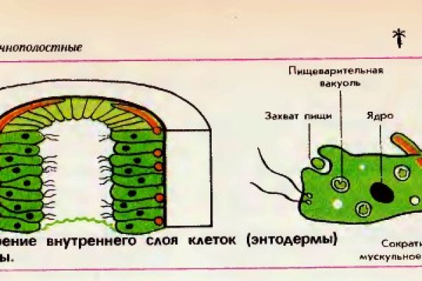 Кракен сайт ссылка тор браузере