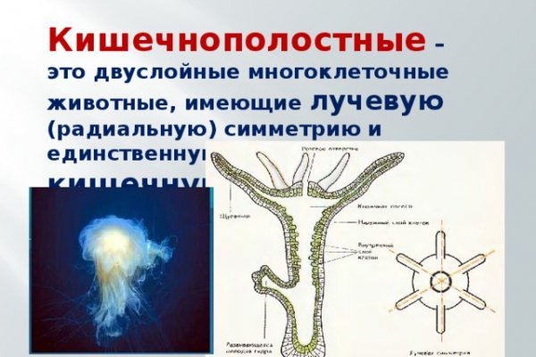 Сайт кракен что это такое